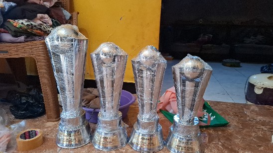Piala Model Bola Polos