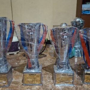 Piala Model Aff Kotak